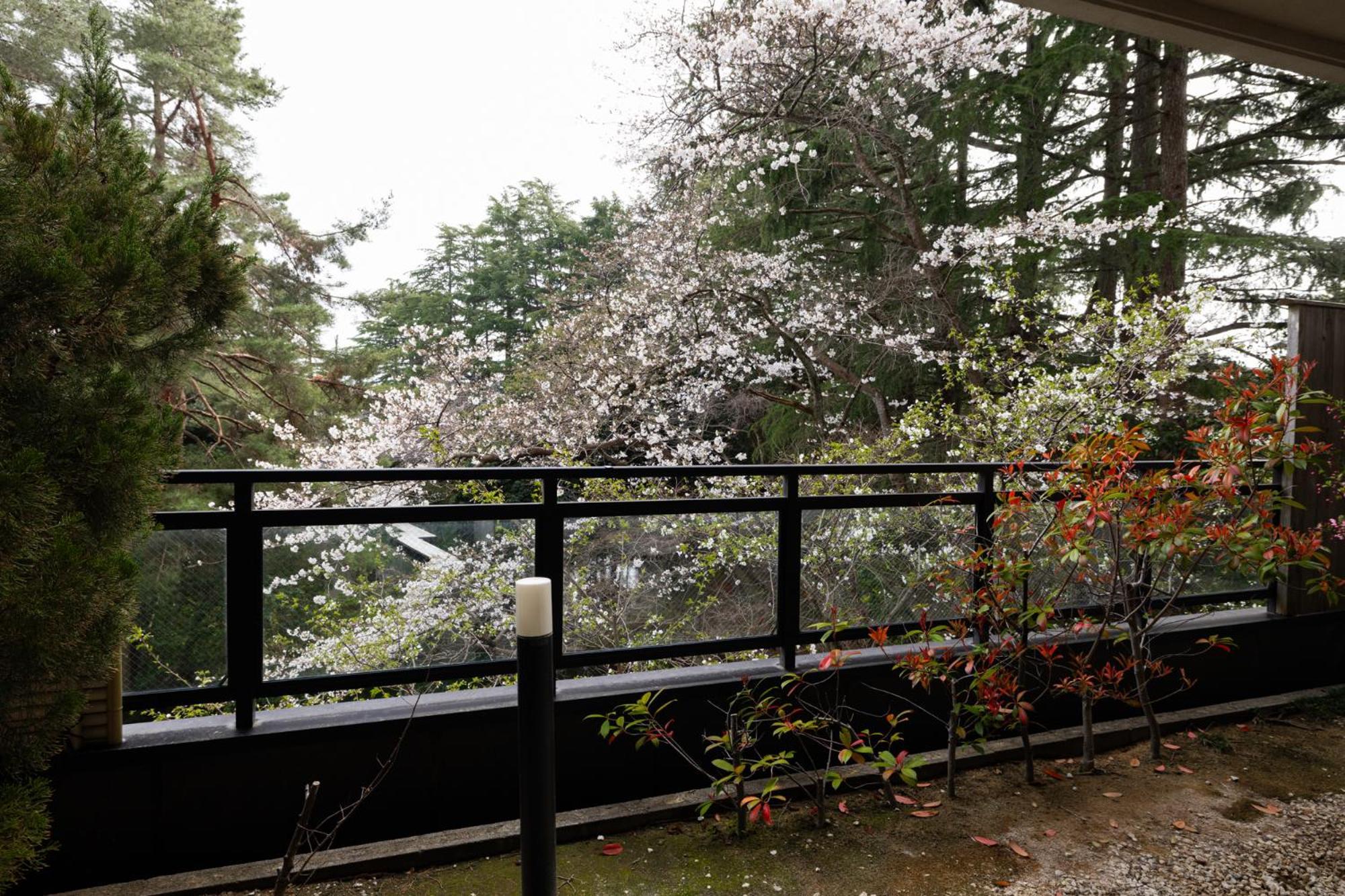 Matsusaki Nomi Eksteriør billede